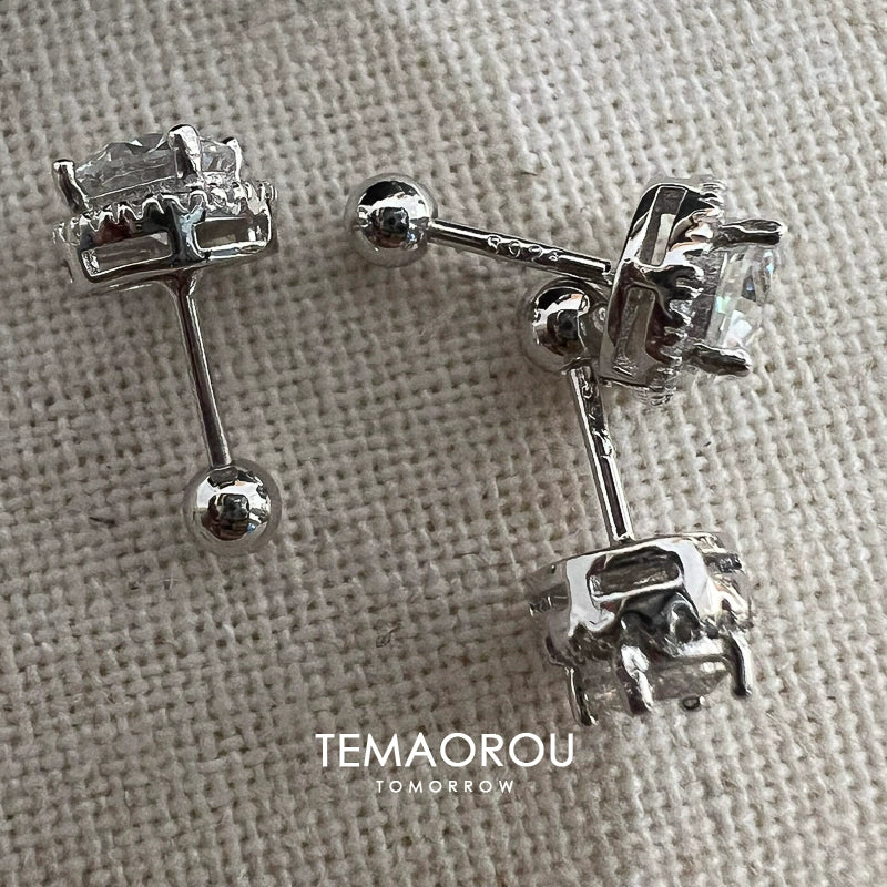 Titanium earrings